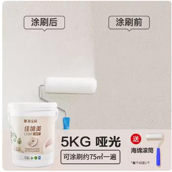 嘉宝莉油漆-防划抗污罩面漆5KG透明哑光